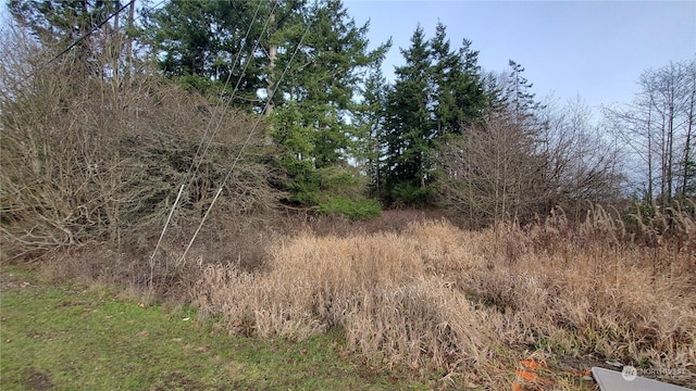 4492 Sweet Rd, Blaine, WA 98230 - photo 8