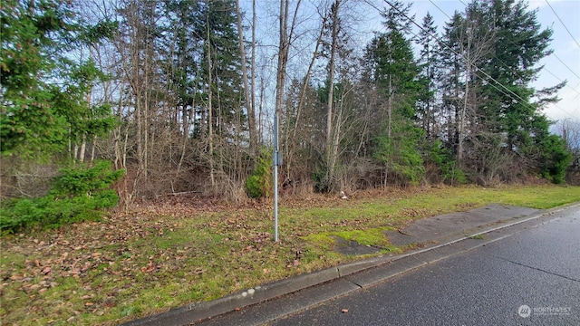 4492 Sweet Rd, Blaine, WA 98230 - photo 10