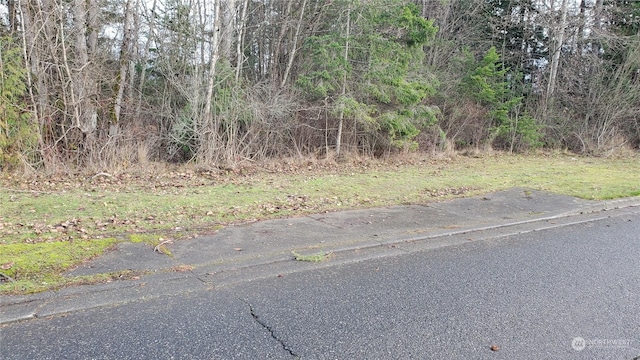 4492 Sweet Rd, Blaine, WA 98230 - photo 12