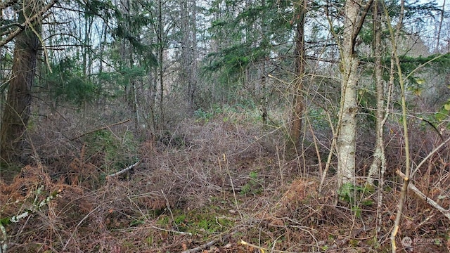 4492 Sweet Rd, Blaine, WA 98230 - photo 20