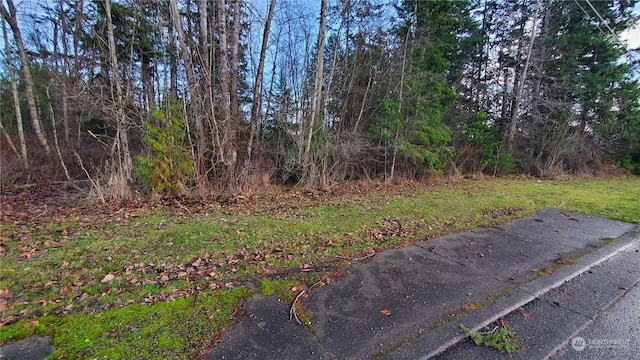 4492 Sweet Rd, Blaine, WA 98230 - photo 23