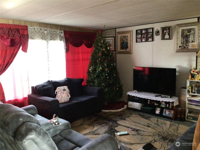 living room featuring a healthy amount of sunlight