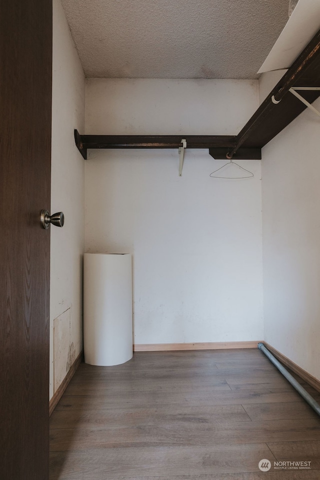 spacious closet with hardwood / wood-style flooring