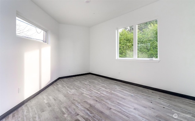 8333 Dallas Ave S, Seattle, WA 98108 - photo 5