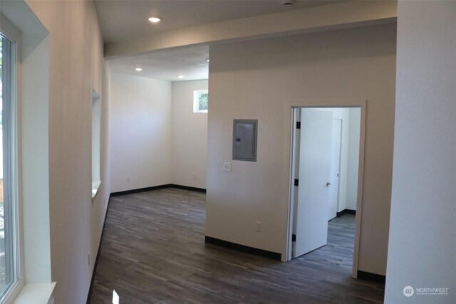 hall featuring dark hardwood / wood-style floors and electric panel