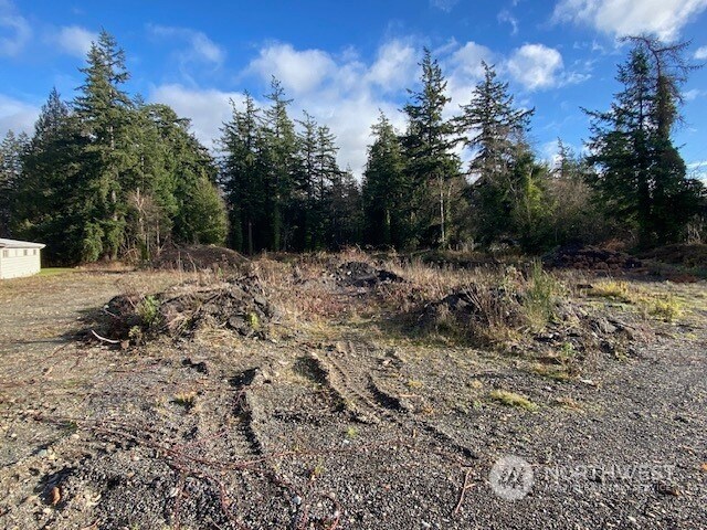 4154 Pacific Hwy, Bellingham, WA 98226 - photo 8