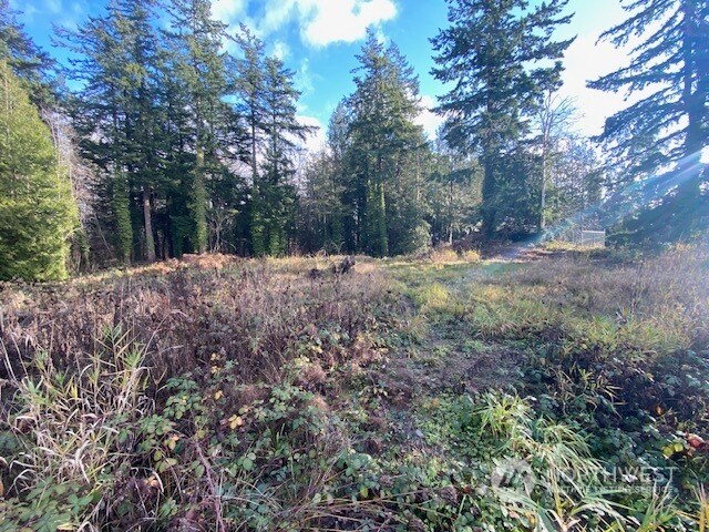 4154 Pacific Hwy, Bellingham, WA 98226 - photo 11