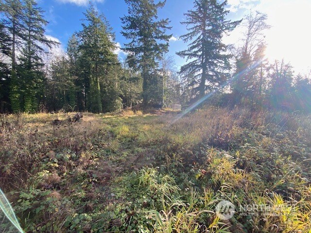 4154 Pacific Hwy, Bellingham, WA 98226 - photo 12