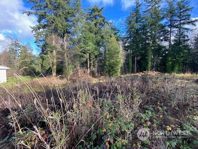 4154 Pacific Hwy, Bellingham, WA 98226 - photo 13