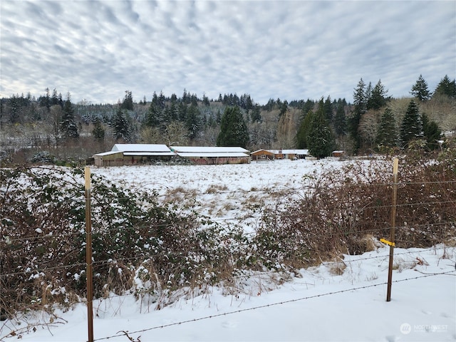 view of yard covered in snow