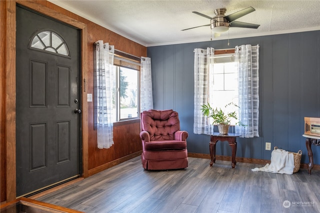 entryway featuring ceiling fan, crown molding, dark wood-type flooring, and a textured ceiling