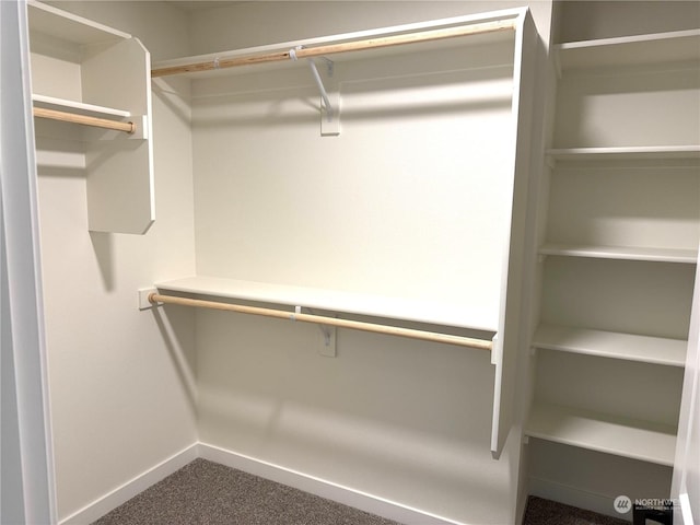 spacious closet with carpet floors