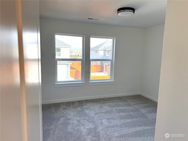 carpeted spare room with a wealth of natural light