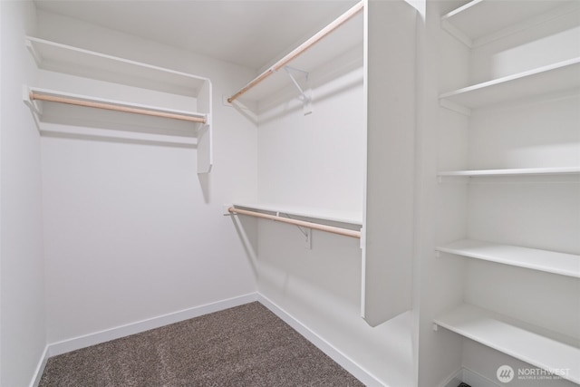 11114 NE 91st Ave, Vancouver, WA 98662 - walk in closet with carpet floors