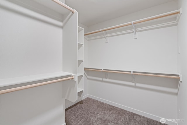 11114 NE 91st Ave, Vancouver, WA 98662 - spacious closet featuring carpet floors