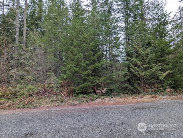 Listing photo 3 for 0 Baker Dr, Concrete WA 98237