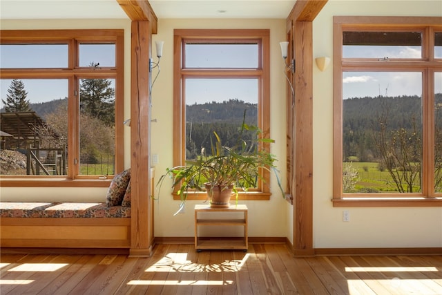 doorway to outside featuring light hardwood / wood-style floors