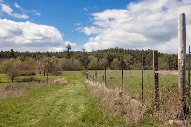 view of yard featuring a rural view