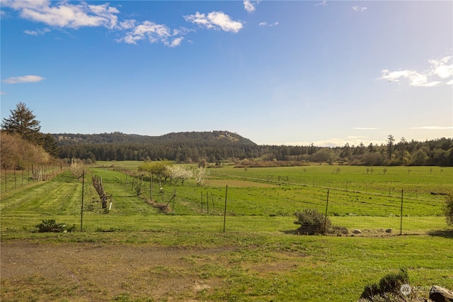 view of mountain feature featuring a rural view