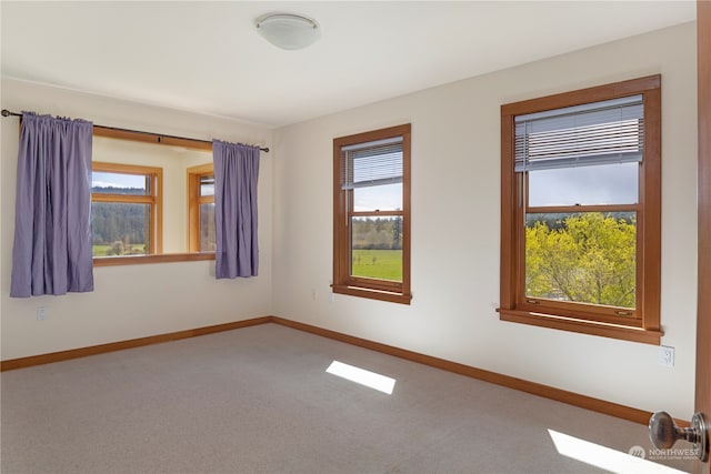 unfurnished room featuring a healthy amount of sunlight and light colored carpet