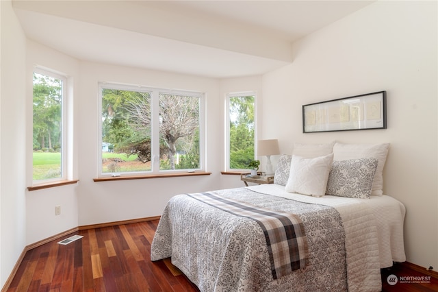 bedroom with dark hardwood / wood-style floors and multiple windows