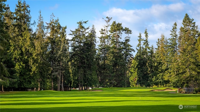 view of property's community with a yard