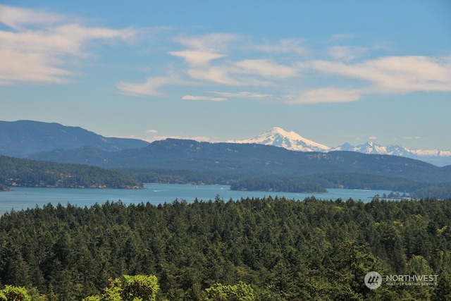 Listing photo 3 for 6537B Roche Harbor Rd, Friday Harbor WA 98250