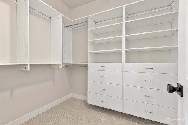 walk in closet featuring light colored carpet