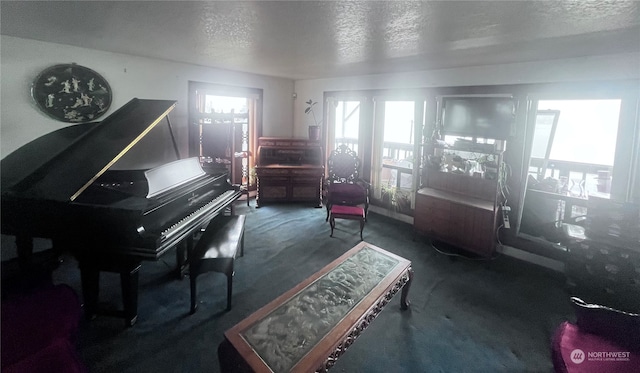 miscellaneous room featuring a textured ceiling, dark colored carpet, and a healthy amount of sunlight