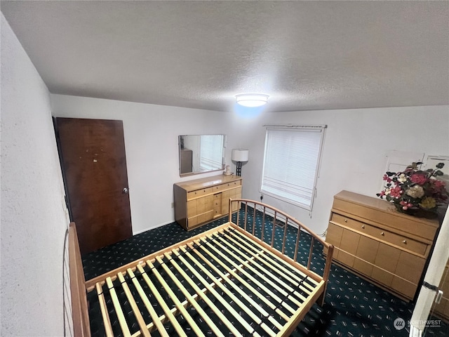 interior space with carpet flooring and a textured ceiling