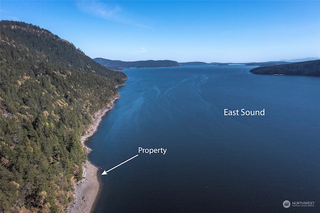 1424 Palisades Dr, Orcas Island, WA 98245 - photo 6