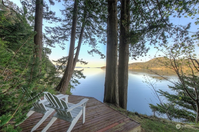 1424 Palisades Dr, Orcas Island, WA 98245 - photo 5