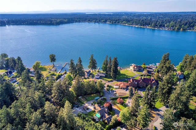 4 Thornewood Ln SW, Lakewood, WA 98498 - birds eye view of property with a water view