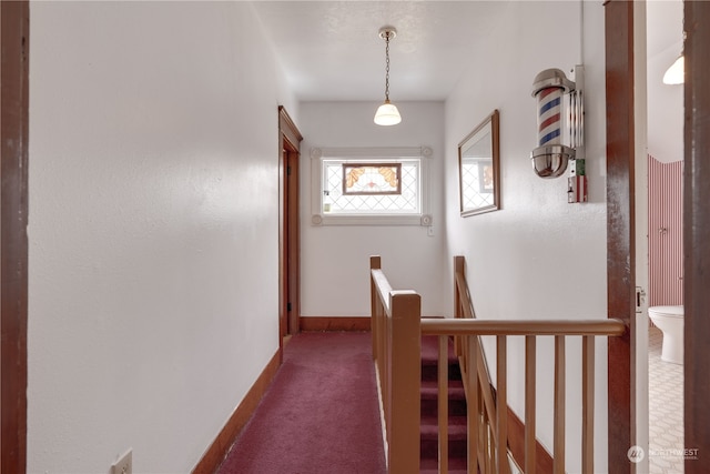 hallway featuring carpet flooring