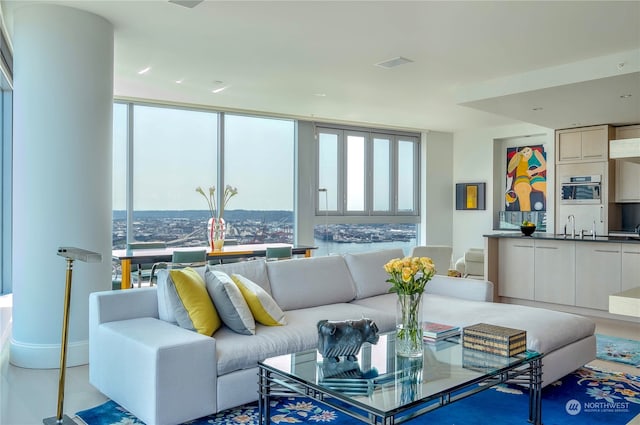 living room featuring sink and a wealth of natural light