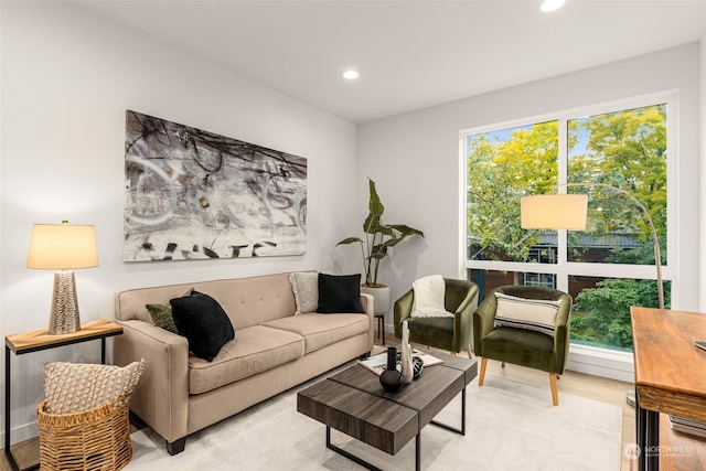 living room featuring light hardwood / wood-style floors