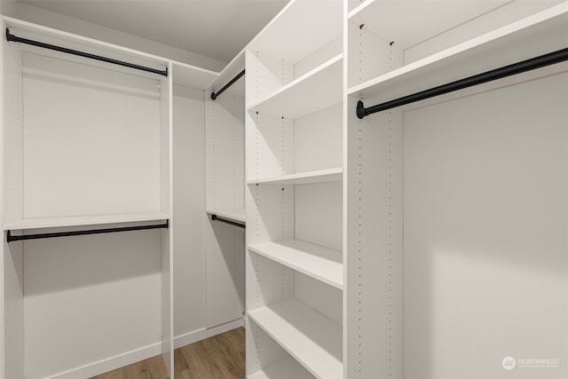 walk in closet featuring light hardwood / wood-style flooring