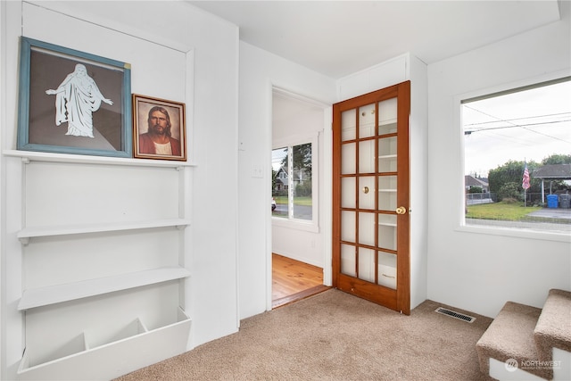 carpeted foyer with a healthy amount of sunlight