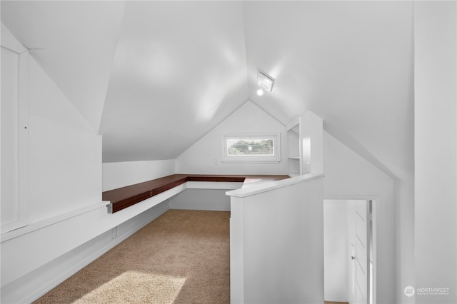 additional living space featuring light carpet and vaulted ceiling