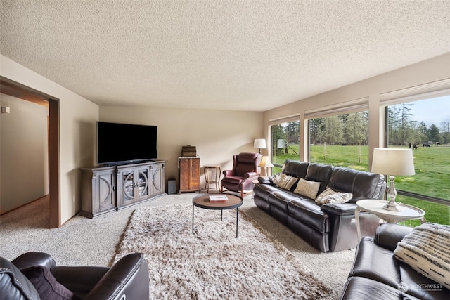 carpeted living room featuring a textured ceiling