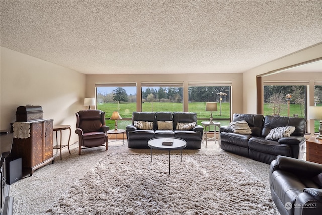 living room with a textured ceiling and carpet