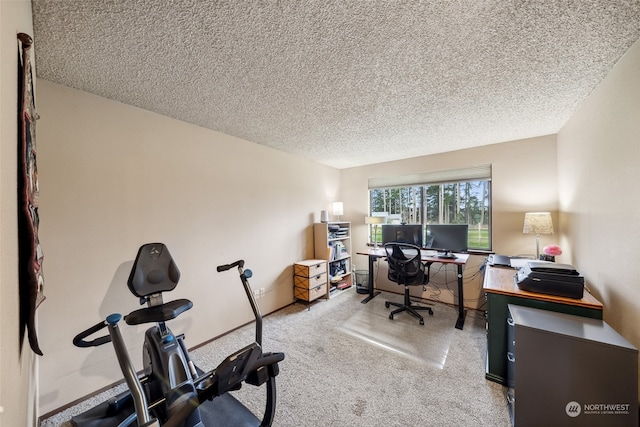 carpeted office space with a textured ceiling