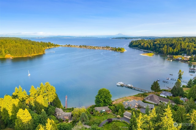 bird's eye view with a water view