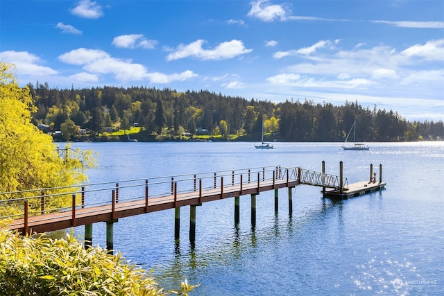 view of dock with a water view