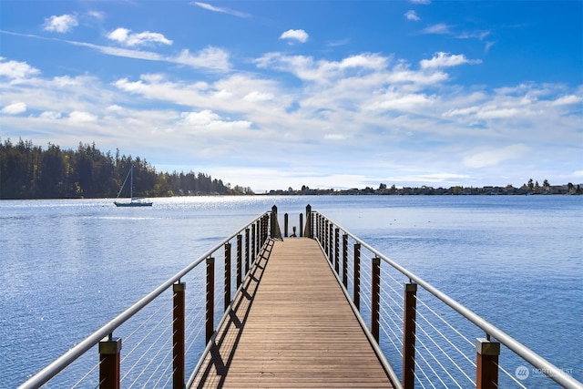 dock area with a water view