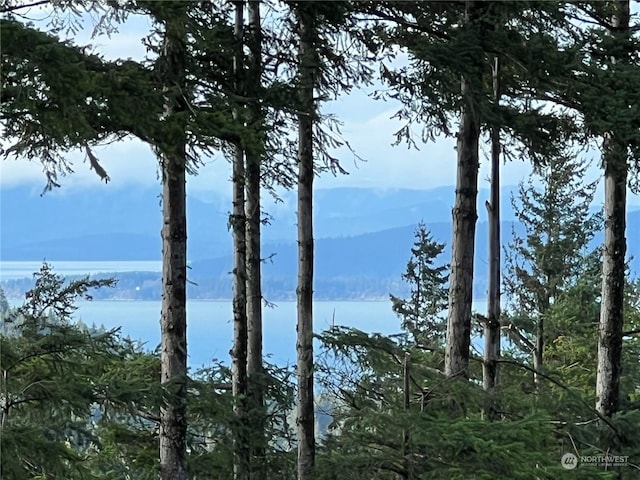 4334 Samish Crest Way, Bellingham, WA 98229 - water view