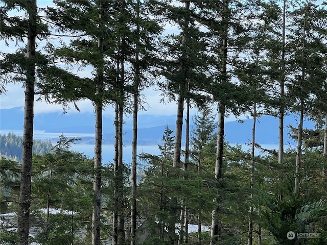 4334 Samish Crest Way, Bellingham, WA 98229 - water view featuring mountains and a forest