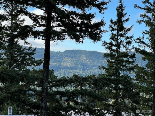 4334 Samish Crest Way, Bellingham, WA 98229 - view of mountain background featuring a forest