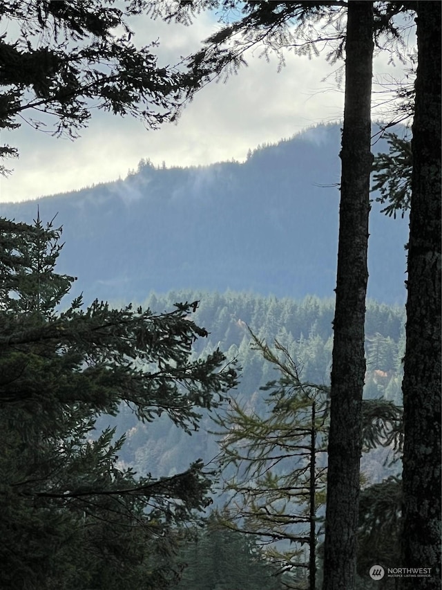 4334 Samish Crest Way, Bellingham, WA 98229 - view of mountain backdrop with a heavily wooded area