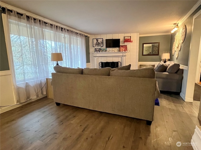 living room with light hardwood / wood-style flooring, crown molding, a fireplace, and plenty of natural light